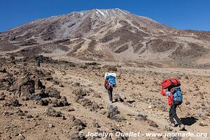 Parc national du Kilimandjaro - Tanzanie