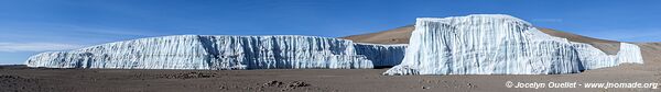 Parc national du Kilimandjaro - Tanzanie