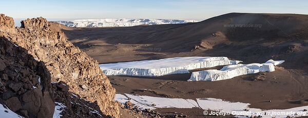 Parc national du Kilimandjaro - Tanzanie