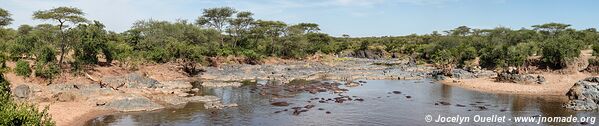 Parc national du Serengeti - Tanzanie