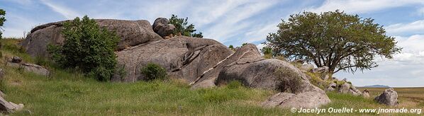 Serengeti National Park - Tanzania