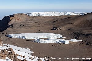 Parc national du Kilimandjaro - Tanzanie