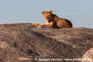 Serengeti National Park - Tanzania