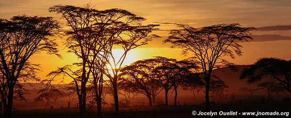 Parc national du Serengeti - Tanzanie