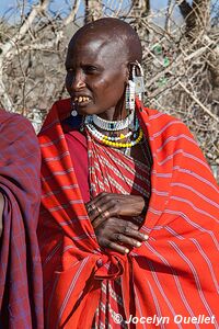 Aire de conservation du Ngorongoro - Tanzanie