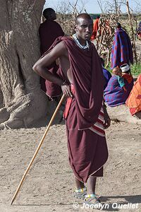 Aire de conservation du Ngorongoro - Tanzanie