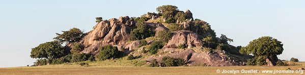 Serengeti National Park - Tanzania