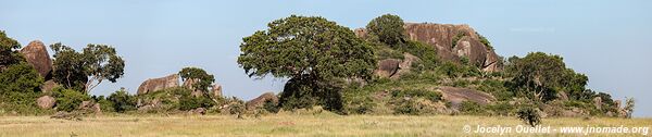 Serengeti National Park - Tanzania