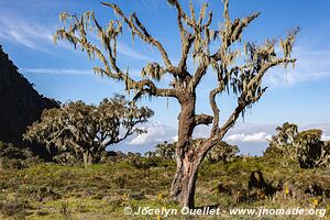 Arusha National Park - Tanzania