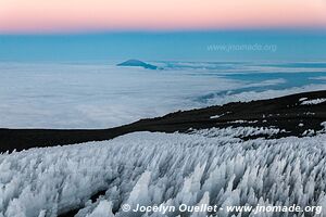 Parc national du Kilimandjaro - Tanzanie