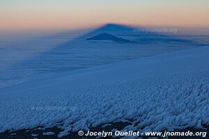 Parc national du Kilimandjaro - Tanzanie