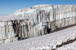 Parc national du Kilimandjaro - Tanzanie