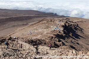 Parc national du Kilimandjaro - Tanzanie