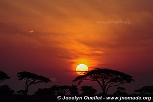 Serengeti National Park - Tanzania