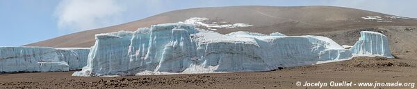 Parc national du Kilimandjaro - Tanzanie