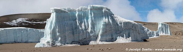 Parc national du Kilimandjaro - Tanzanie