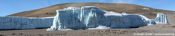 Parc national du Kilimandjaro - Tanzanie