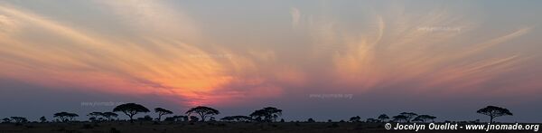 Serengeti National Park - Tanzania