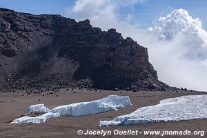 Parc national du Kilimandjaro - Tanzanie