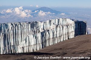 Parc national du Kilimandjaro - Tanzanie