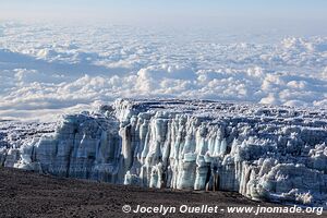 Parc national du Kilimandjaro - Tanzanie