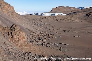 Parc national du Kilimandjaro - Tanzanie