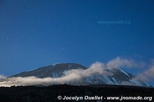 Parc national du Kilimandjaro - Tanzanie