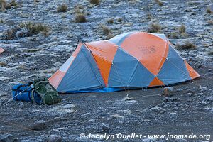 Parc national du Kilimandjaro - Tanzanie