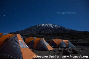 Parc national du Kilimandjaro - Tanzanie