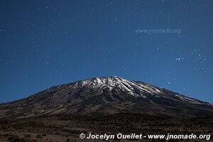 Parc national du Kilimandjaro - Tanzanie