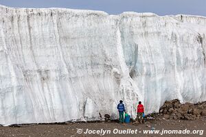 Parc national du Kilimandjaro - Tanzanie