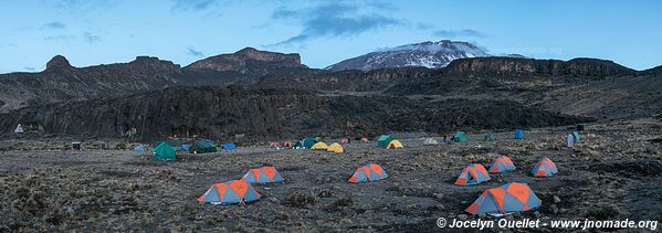 Parc national du Kilimandjaro - Tanzanie