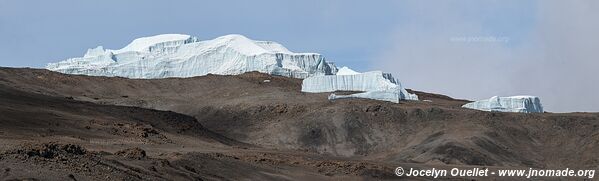 Parc national du Kilimandjaro - Tanzanie