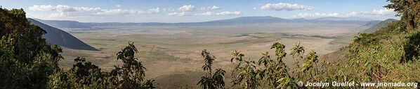 Ngorongoro Conservation Area - Tanzania