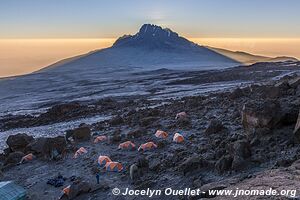 Parc national du Kilimandjaro - Tanzanie