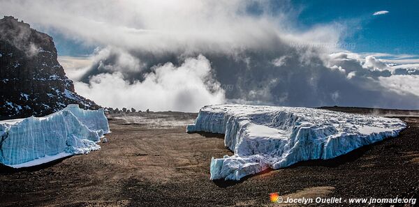 Parc national du Kilimandjaro - Tanzanie