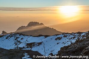 Parc national du Kilimandjaro - Tanzanie