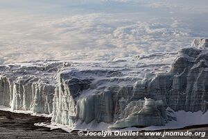 Parc national du Kilimandjaro - Tanzanie