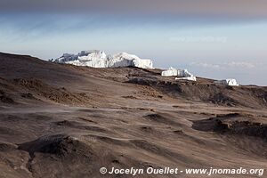 Parc national du Kilimandjaro - Tanzanie