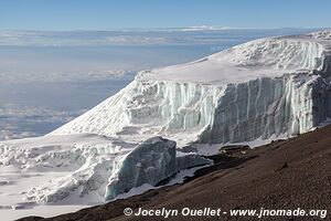 Parc national du Kilimandjaro - Tanzanie