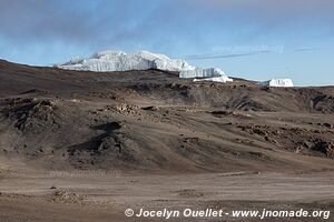 Parc national du Kilimandjaro - Tanzanie