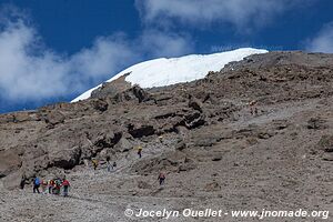 Parc national du Kilimandjaro - Tanzanie