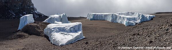 Parc national du Kilimandjaro - Tanzanie