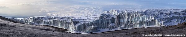 Parc national du Kilimandjaro - Tanzanie