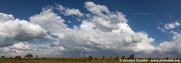 Parc national du Serengeti - Tanzanie