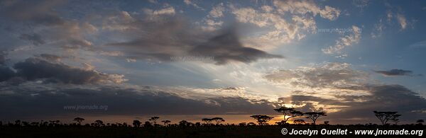 Parc national du Serengeti - Tanzanie