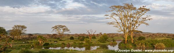 Serengeti National Park - Tanzania