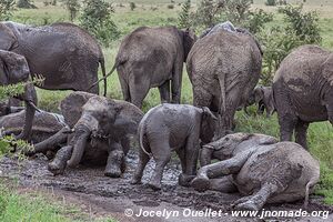 Parc national du Serengeti - Tanzanie