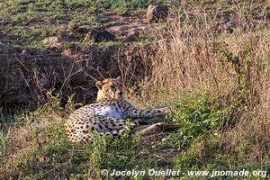 Ngorongoro Conservation Area - Tanzania