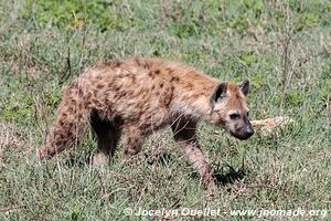 Aire de conservation du Ngorongoro - Tanzanie